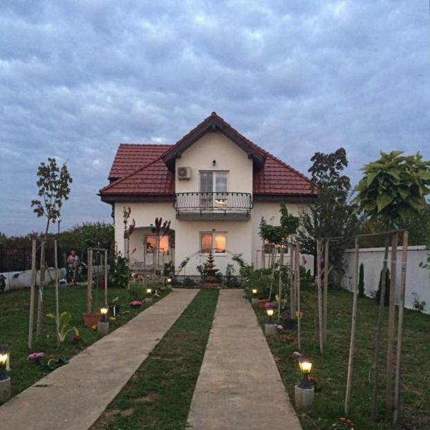 Blue Sky House Ξενοδοχείο Balotesti Εξωτερικό φωτογραφία